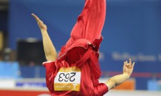 开云足球直播-冠军诞生！射击选手精准射中目标摘金的简单介绍