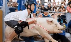 开云体育官方网站-队员没能出场，换来另类比赛策略