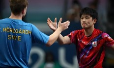 开云在线赛事平台-比利时乒乓球队碾压波兰乒乓球队，张本智和高光表现的简单介绍