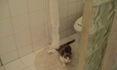 开云体育平台APP-多特蒙德粉碎墨西哥，富安健洋展现巨星价值，一场比赛，两种命运