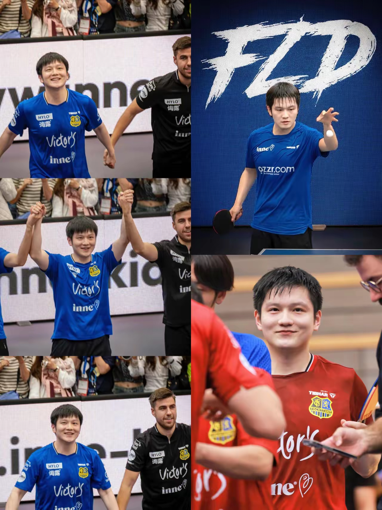 包含奥地利乒乓球队横扫德国乒乓球队,樊振东惊艳世界的词条 包含奥地利乒乓球队横扫德国乒乓球队,樊振东惊艳世界的词条