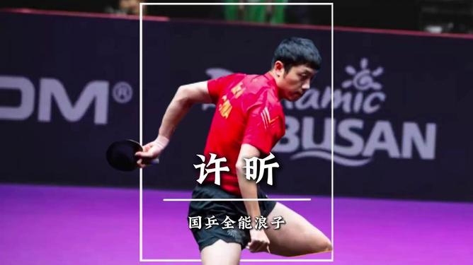 波兰乒乓球队力克中国乒乓球队，许昕制霸全场的简单介绍
