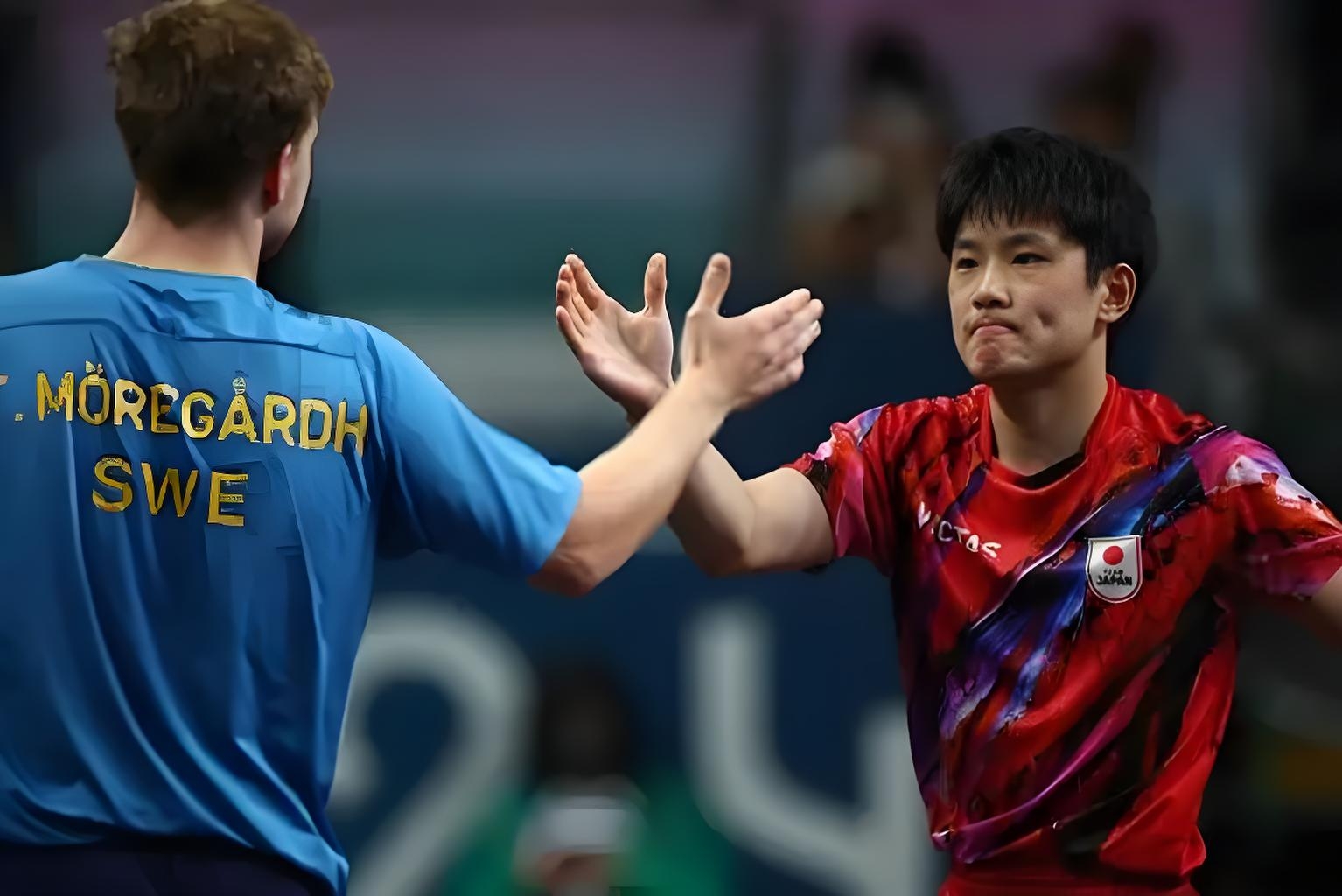 比利时乒乓球队碾压波兰乒乓球队，张本智和高光表现的简单介绍